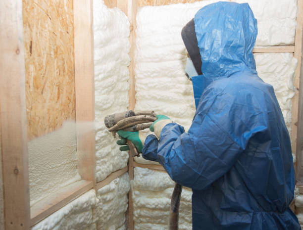 Types of Insulation We Offer in Pahoa, HI